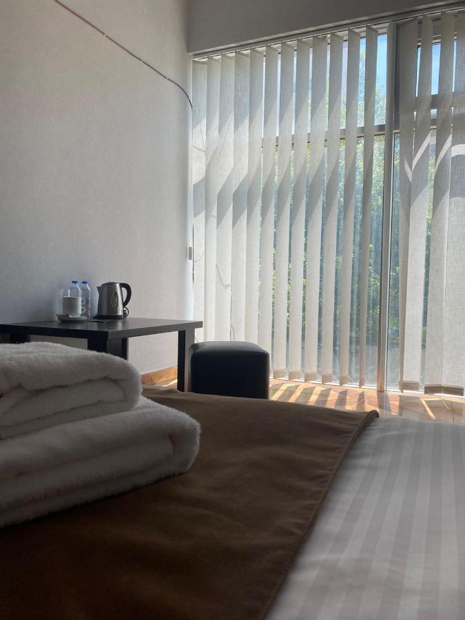 Hotel Saburtalo Roni Tbilissi Extérieur photo